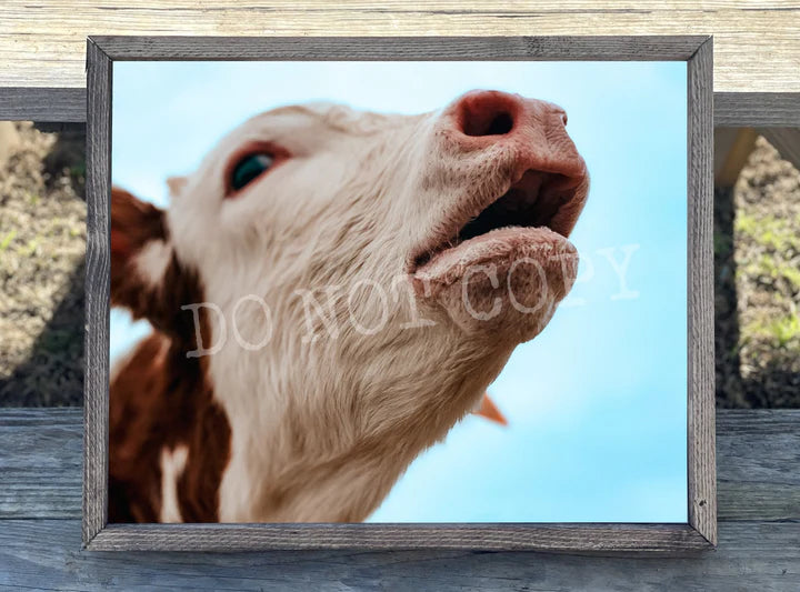 Mooing Cow Print