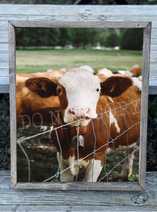 Red & White Cow Print
