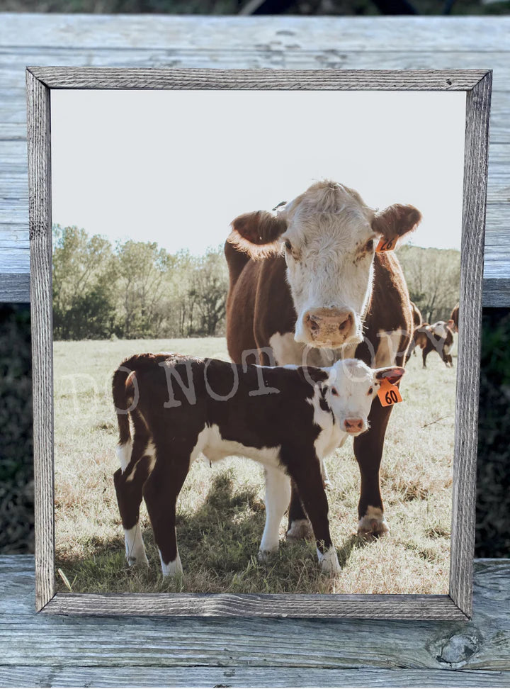 Cow and Calf Print